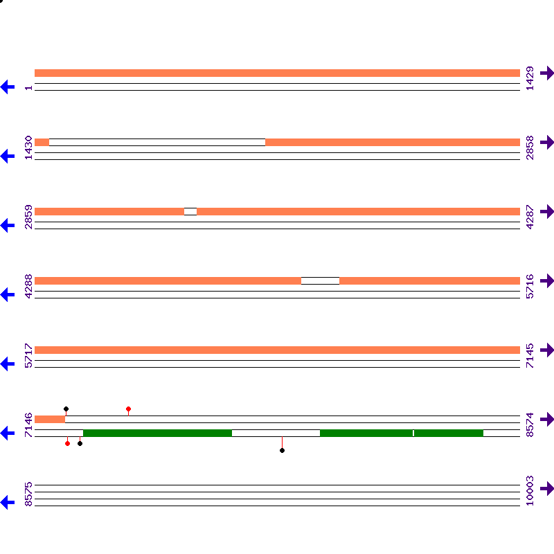 Genome View