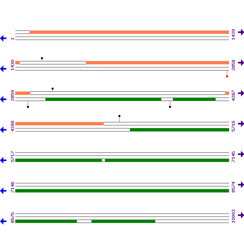 Genome View