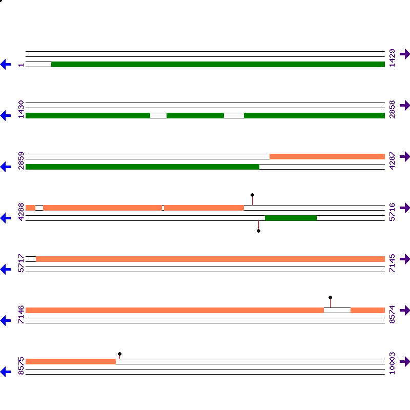 Genome View