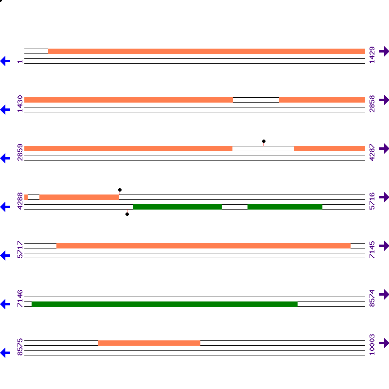 Genome View