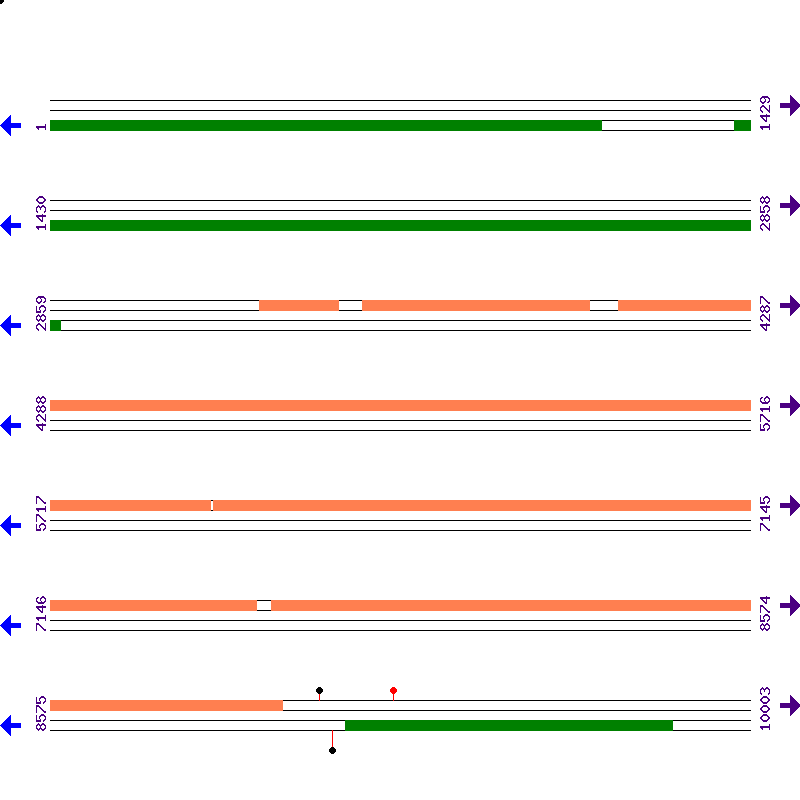 Genome View