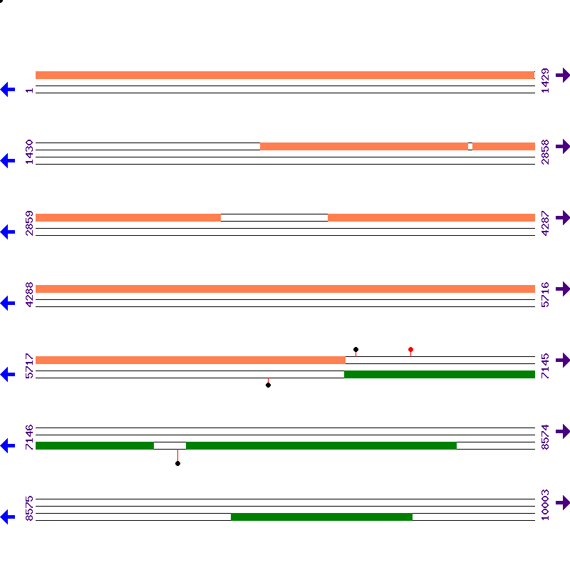 Genome View
