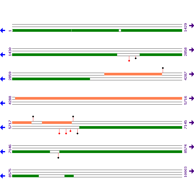 Genome View