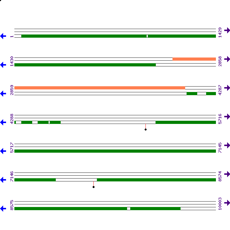 Genome View