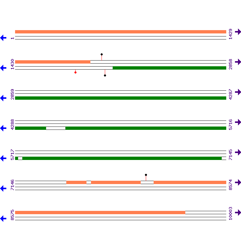 Genome View