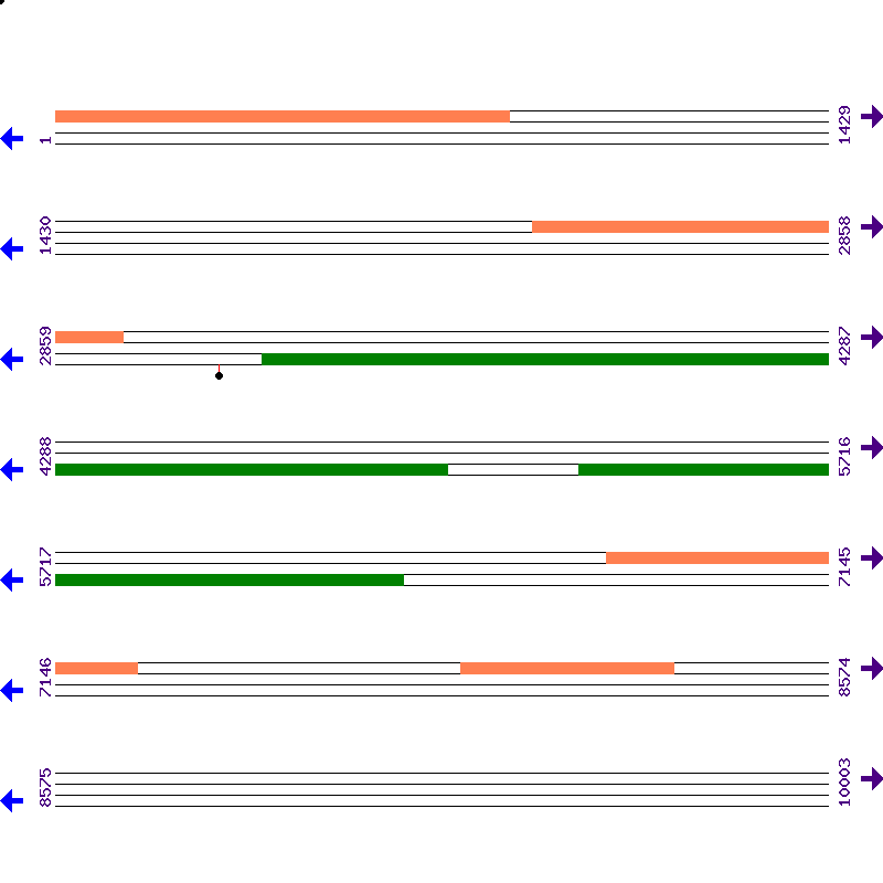 Genome View