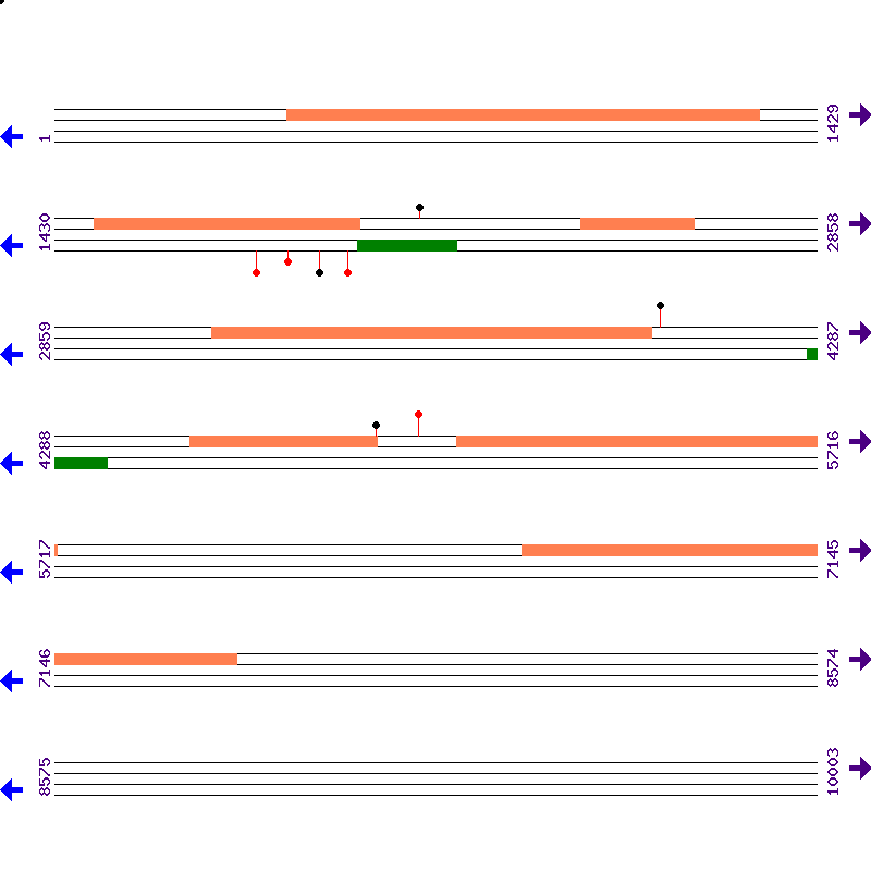 Genome View