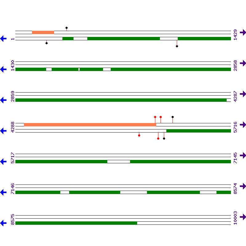 Genome View