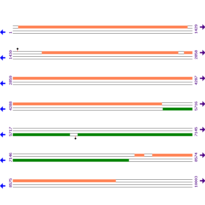 Genome View
