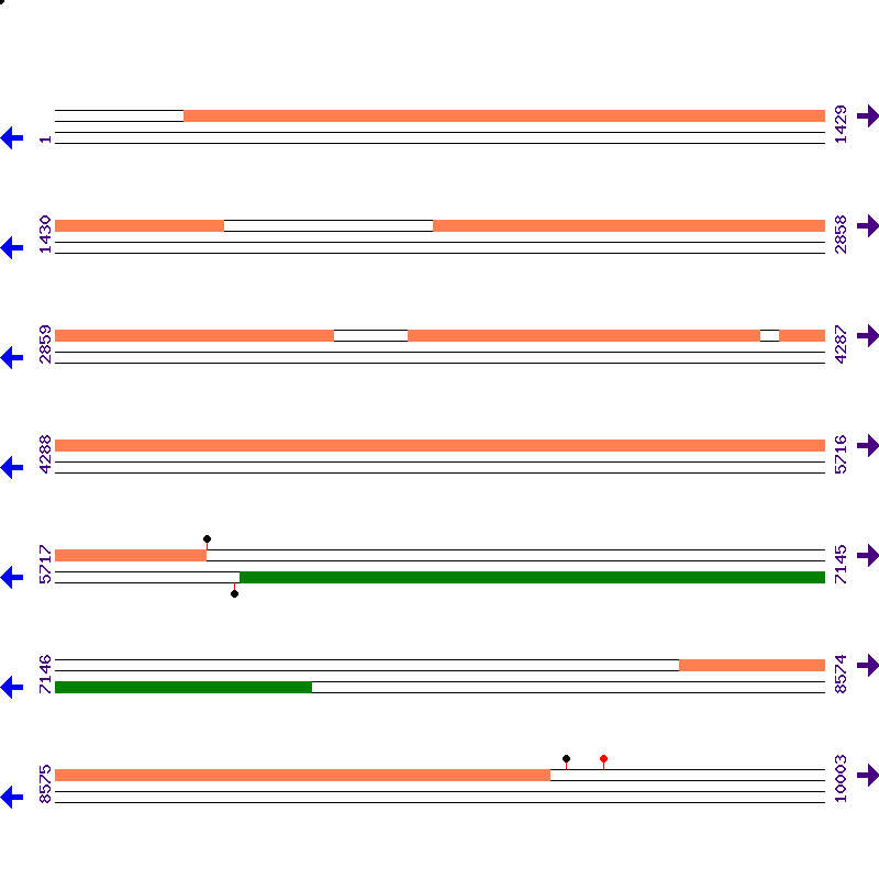 Genome View