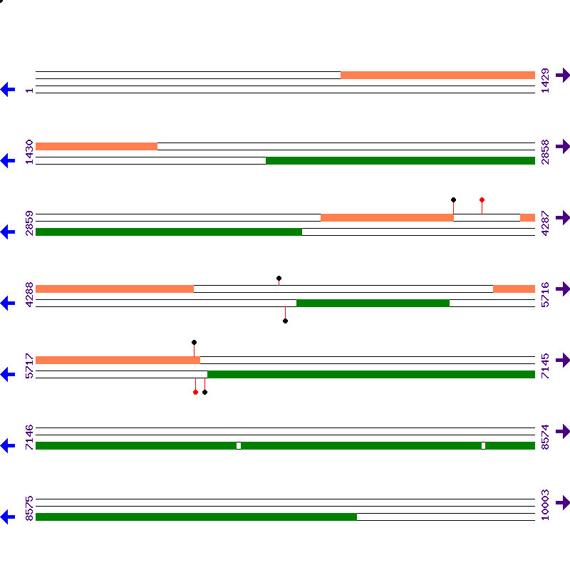 Genome View