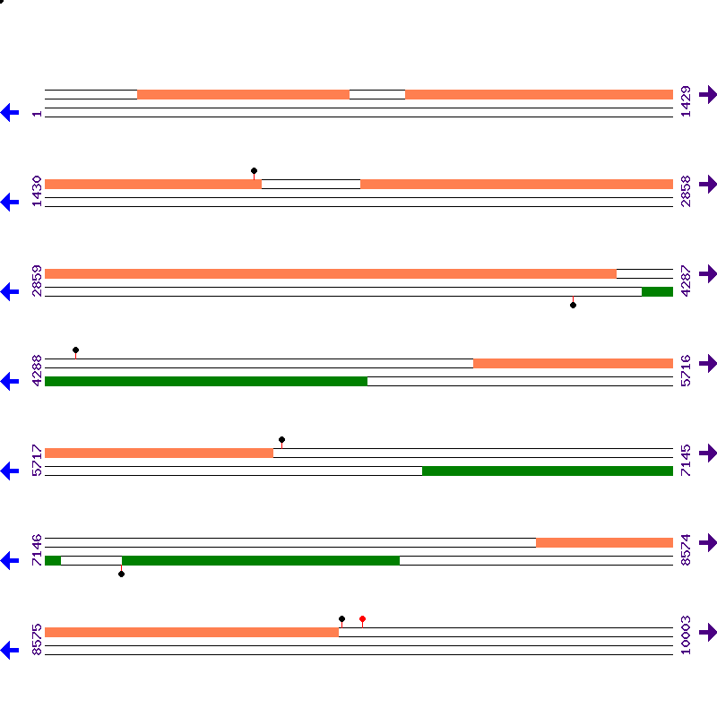 Genome View