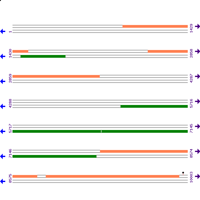 Genome View