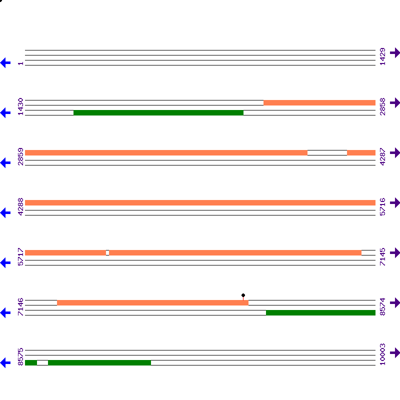 Genome View