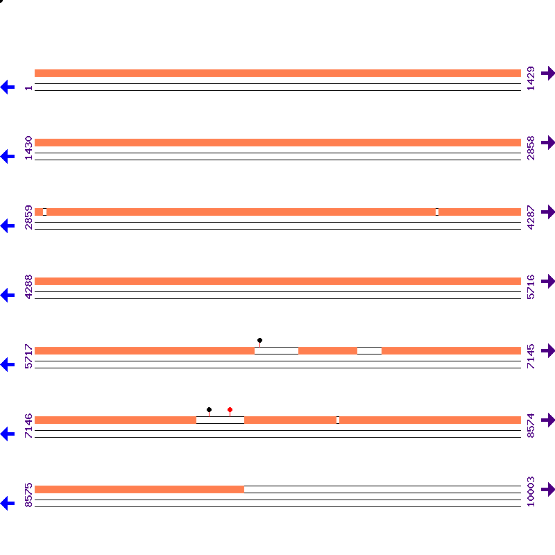 Genome View