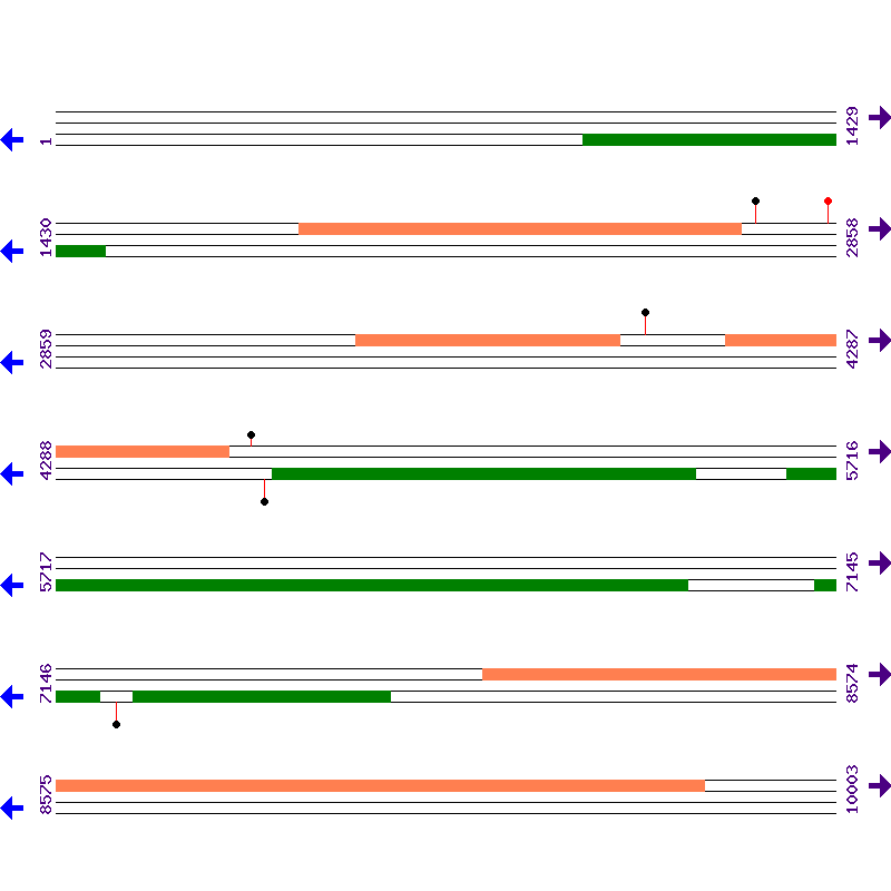 Genome View