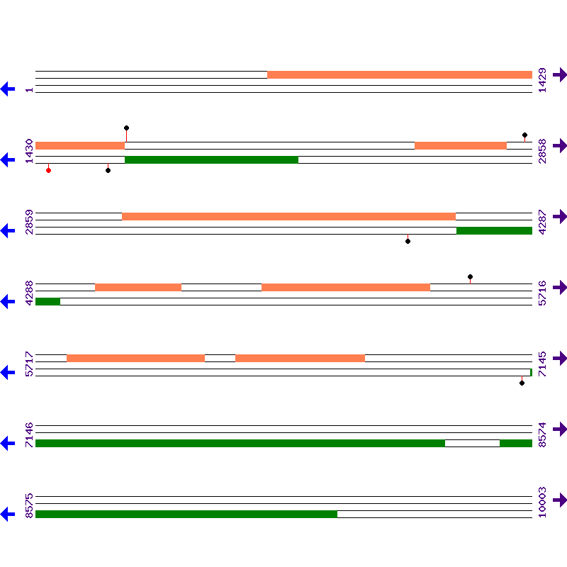 Genome View