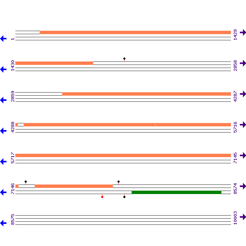 Genome View