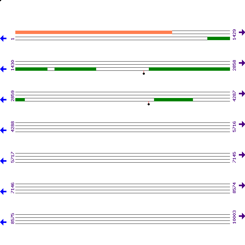 Genome View