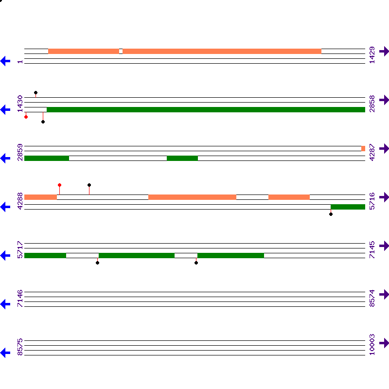 Genome View