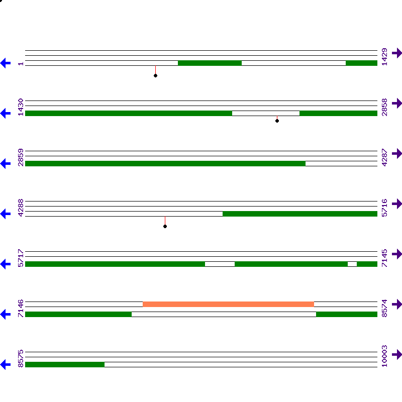 Genome View