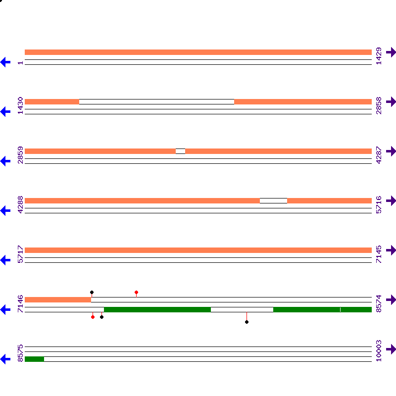 Genome View