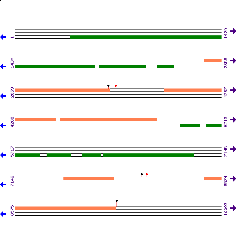 Genome View