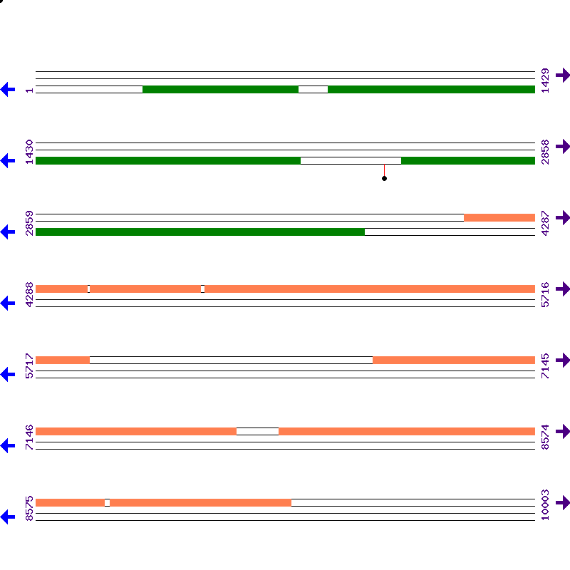 Genome View