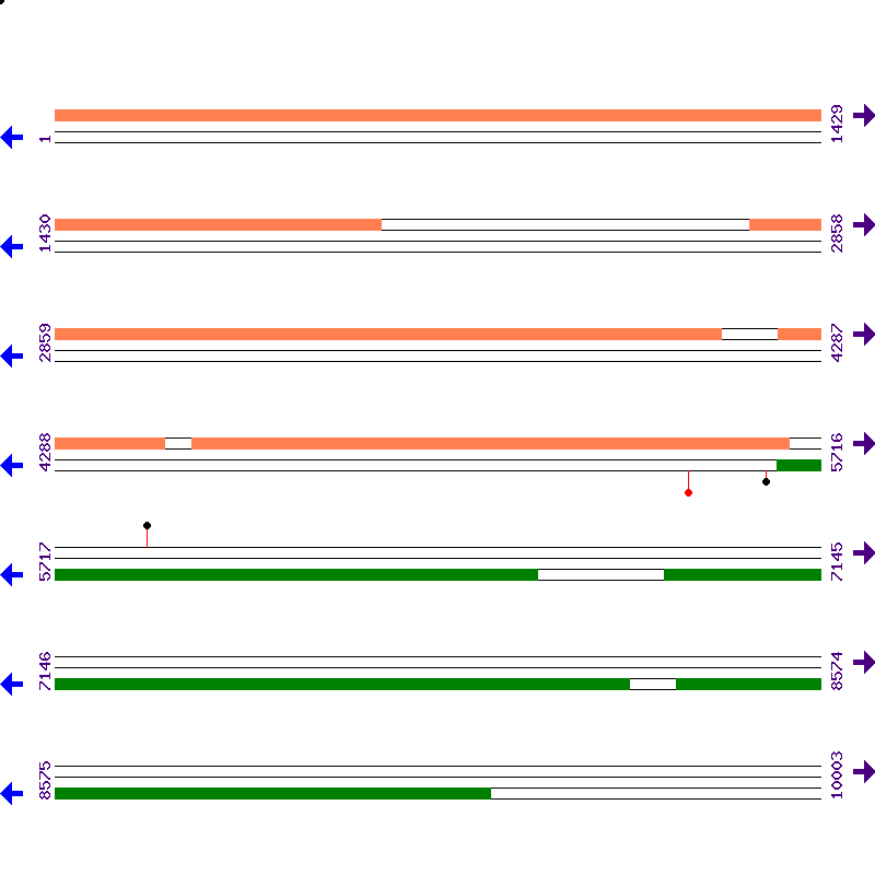 Genome View