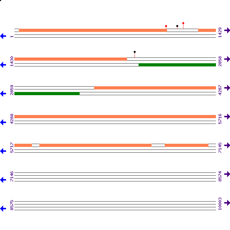Genome View