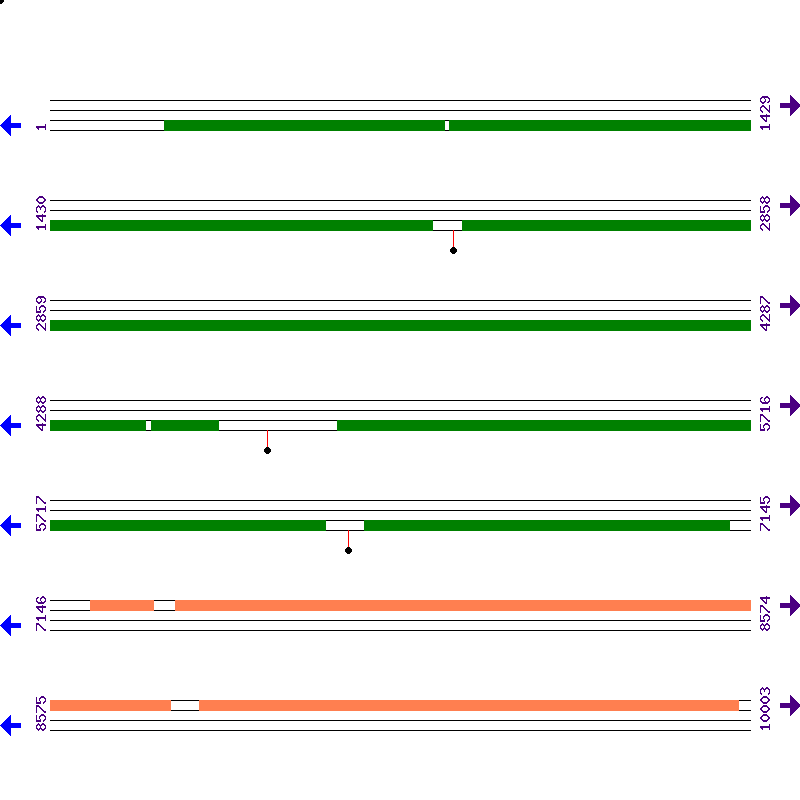 Genome View
