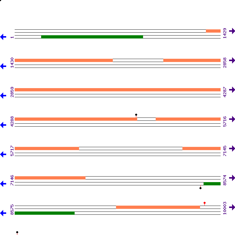 Genome View