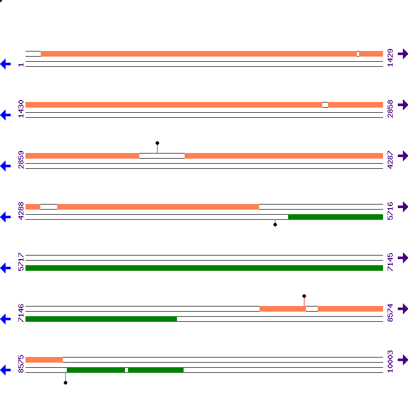 Genome View