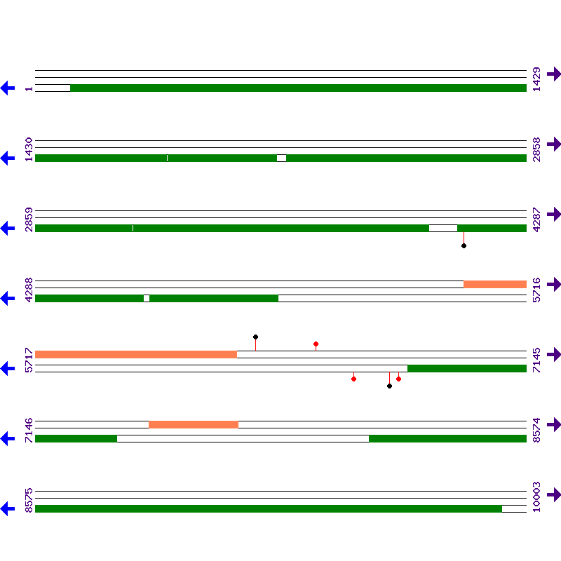 Genome View