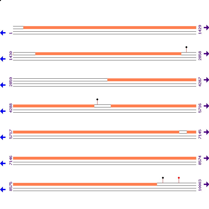 Genome View