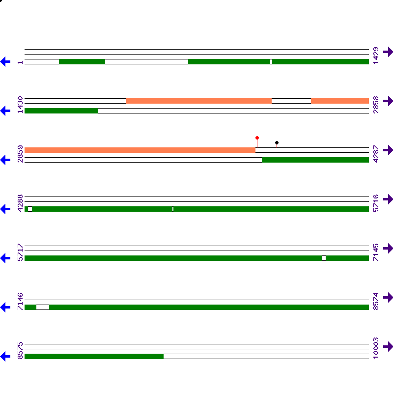 Genome View