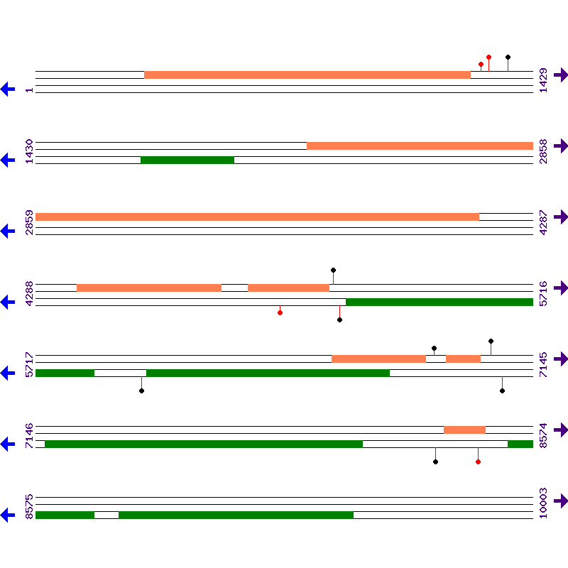Genome View