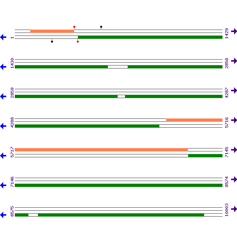 Genome View
