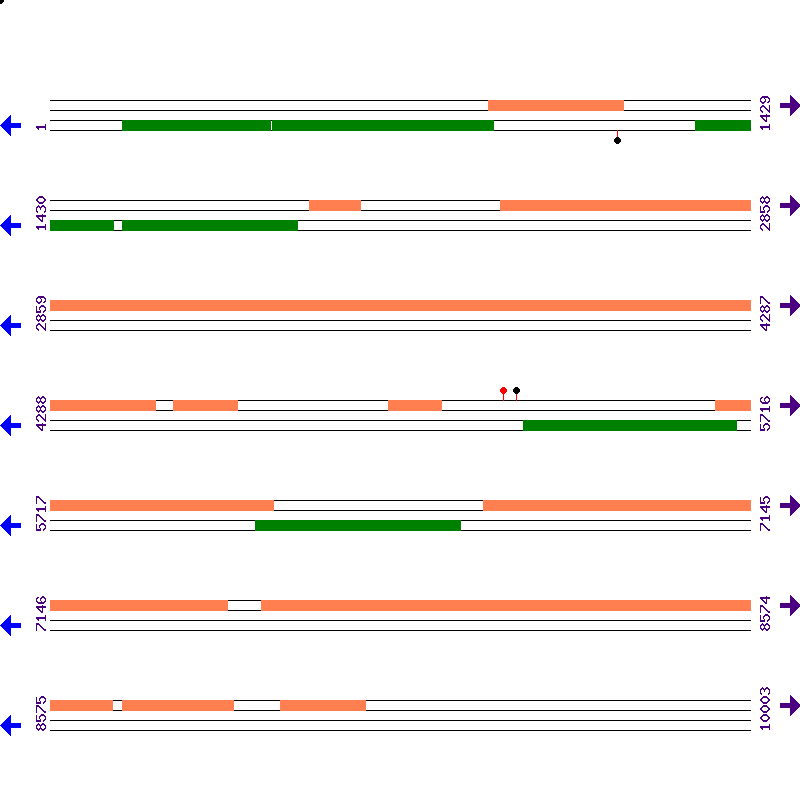Genome View