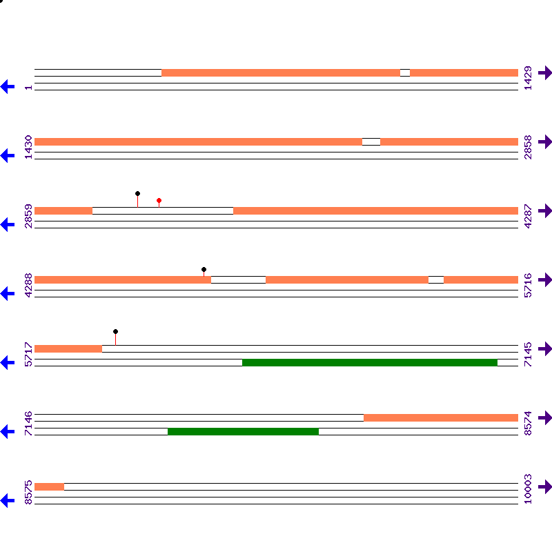 Genome View