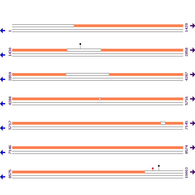 Genome View