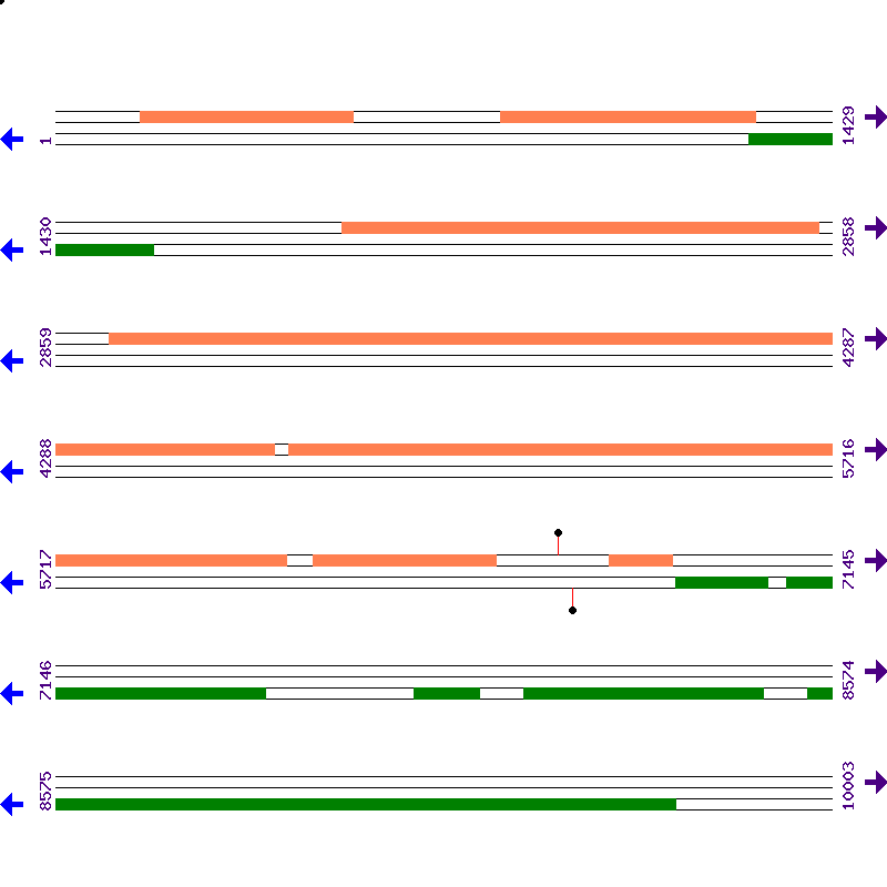Genome View