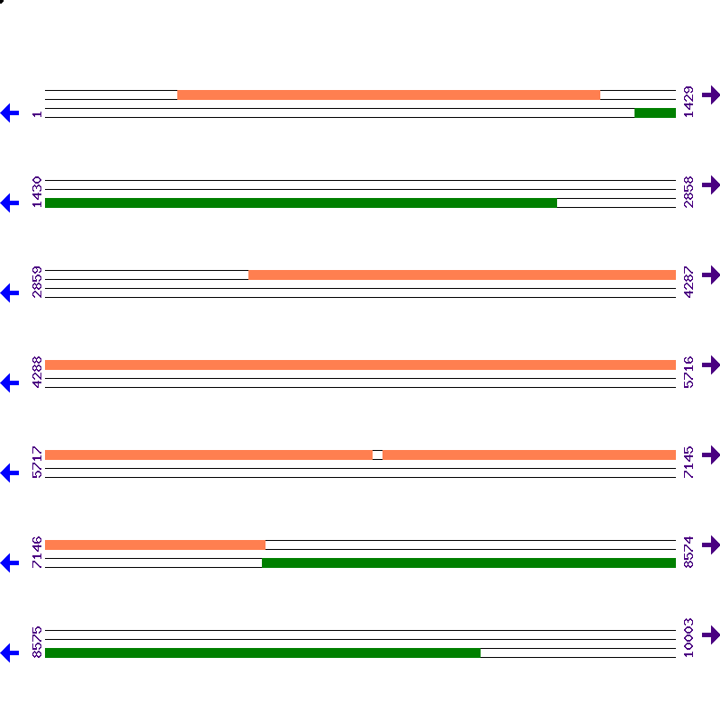 Genome View
