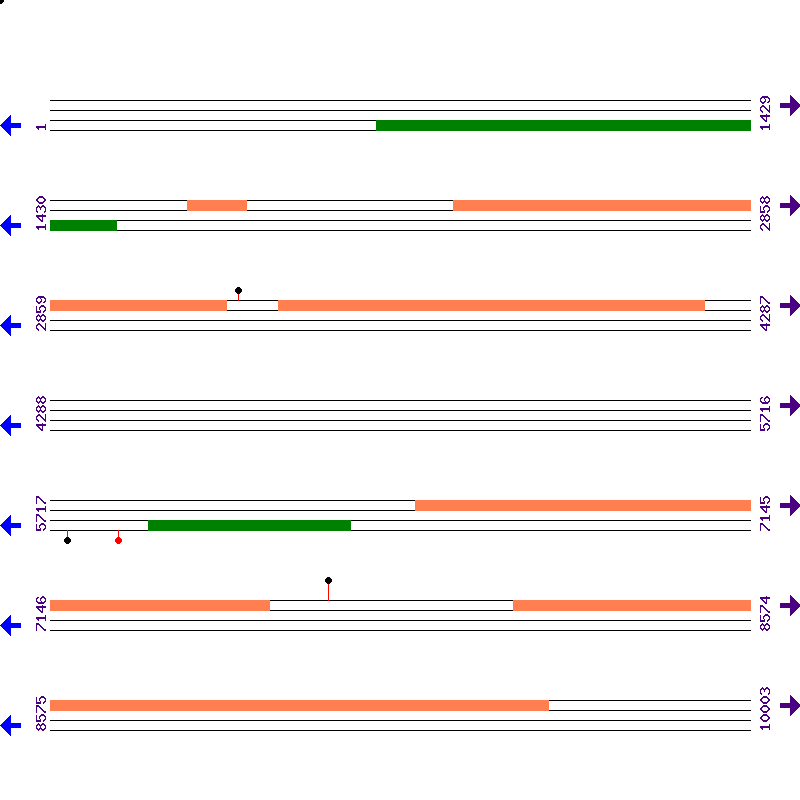 Genome View