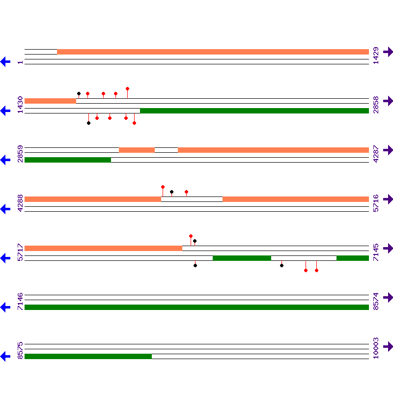 Genome View