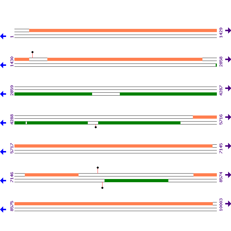 Genome View