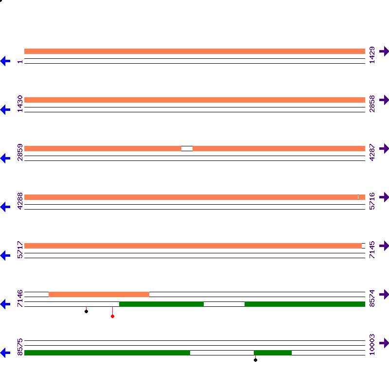 Genome View