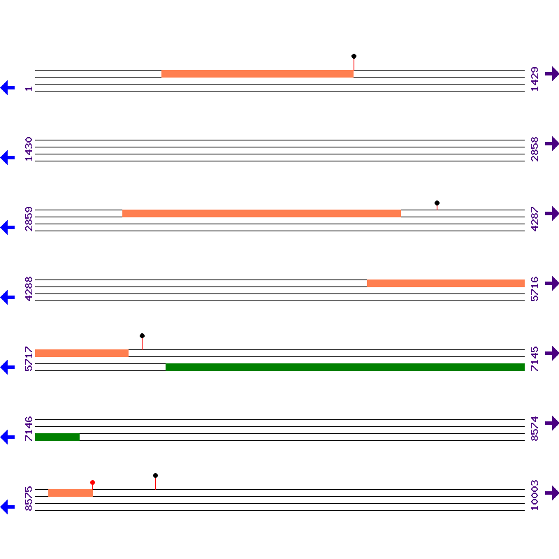 Genome View