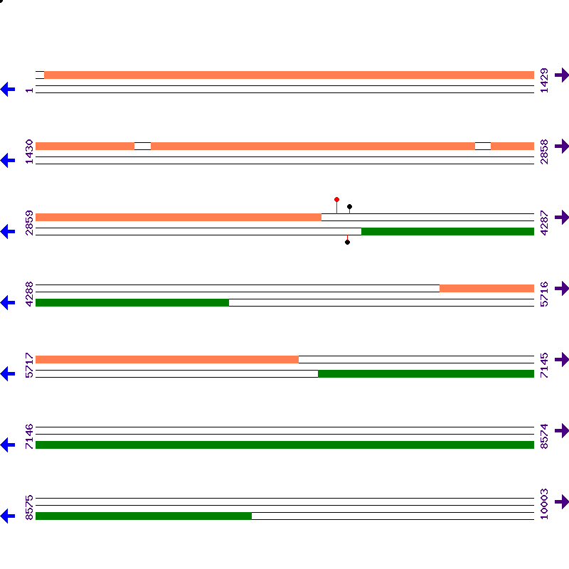 Genome View
