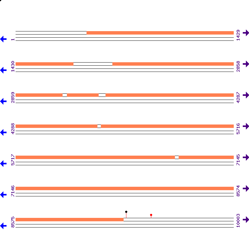 Genome View
